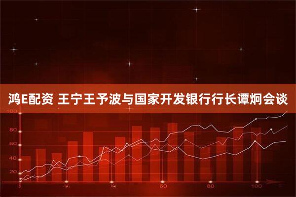 鸿E配资 王宁王予波与国家开发银行行长谭炯会谈