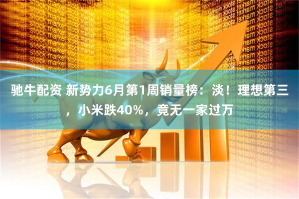 驰牛配资 新势力6月第1周销量榜：淡！理想第三，小米跌40%，竟无一家过万