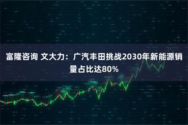 富隆咨询 文大力：广汽丰田挑战2030年新能源销量占比达80%
