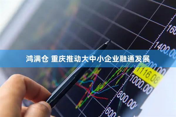 鸿满仓 重庆推动大中小企业融通发展