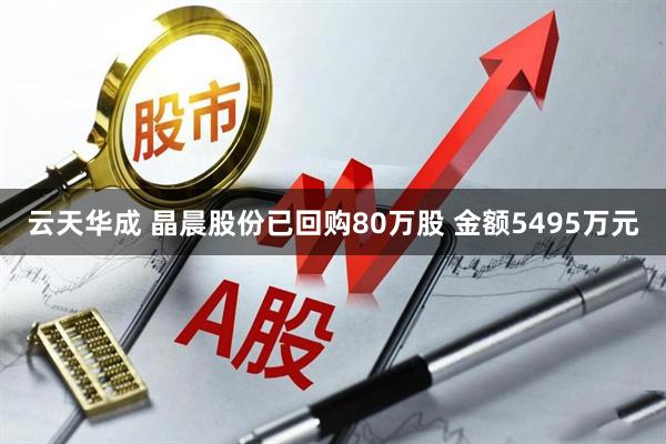 云天华成 晶晨股份已回购80万股 金额5495万元