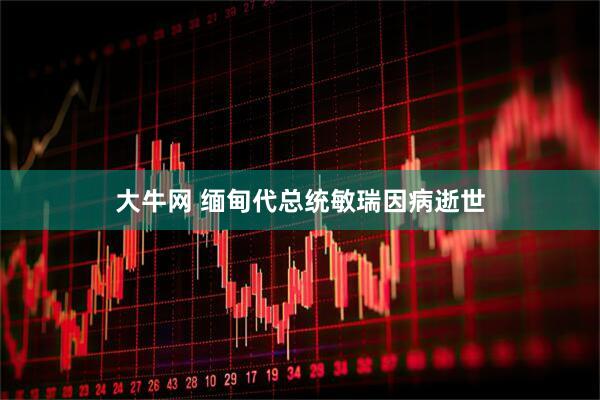 大牛网 缅甸代总统敏瑞因病逝世