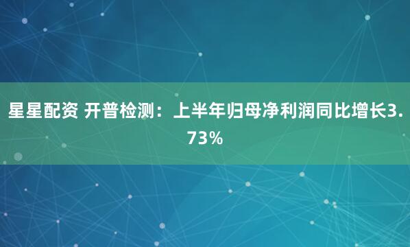 星星配资 开普检测：上半年归母净利润同比增长3.73%