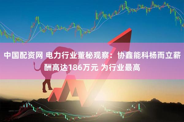 中国配资网 电力行业董秘观察：协鑫能科杨而立薪酬高达186万元 为行业最高
