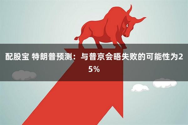 配股宝 特朗普预测：与普京会晤失败的可能性为25%