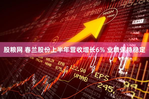 股粮网 春兰股份上半年营收增长6% 业绩保持稳定