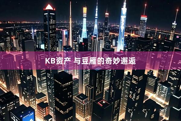 KB资产 与豆雁的奇妙邂逅